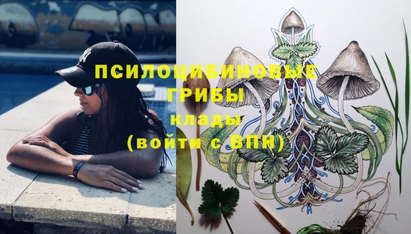 синтетический гашиш Дмитров