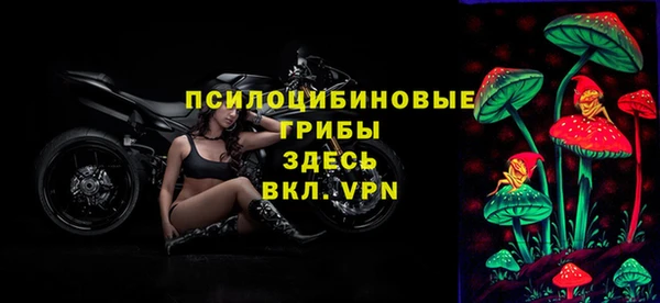 apvp Дмитровск