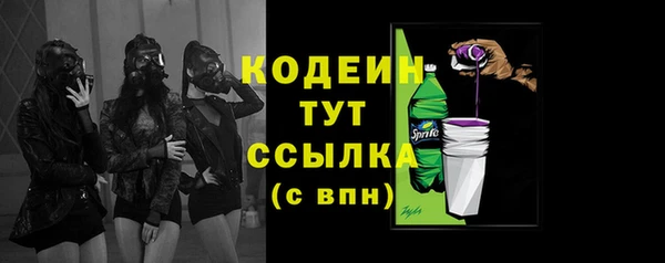 apvp Дмитровск