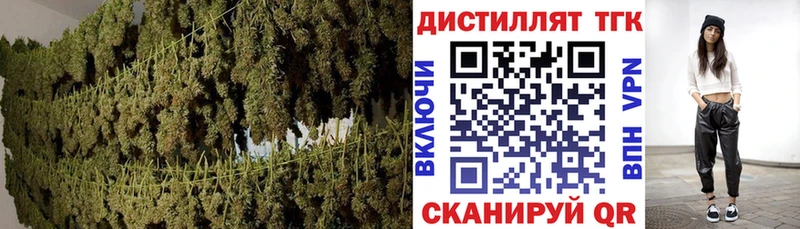 ТГК Wax  Дубна 