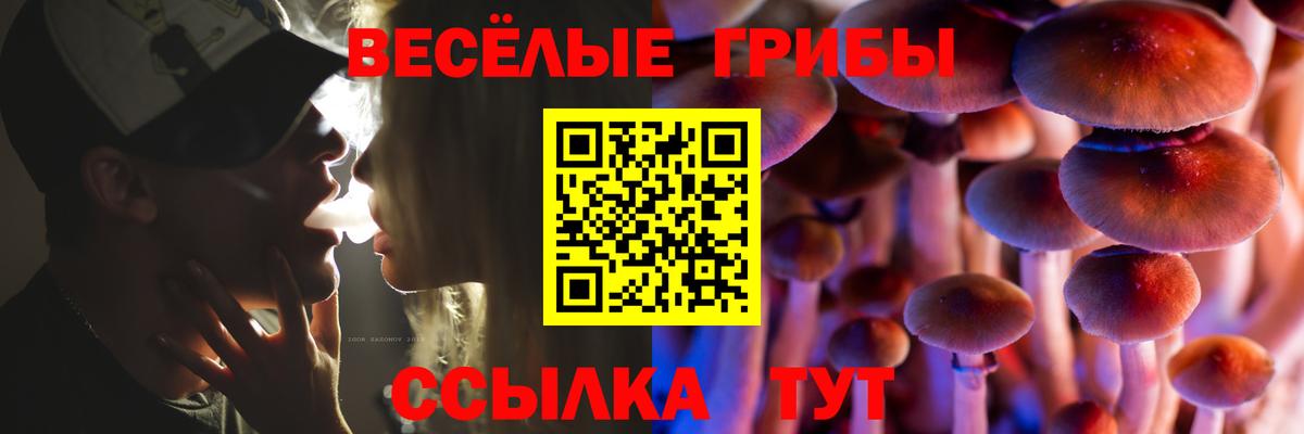 Псилоцибиновые грибы GOLDEN TEACHER Дубна